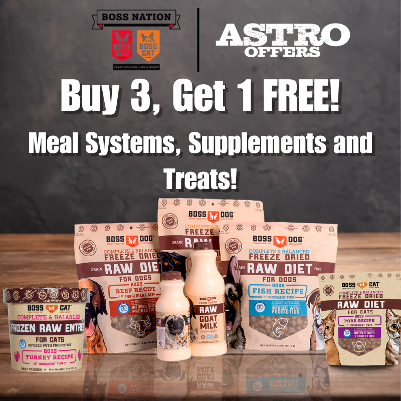 Promotion Image