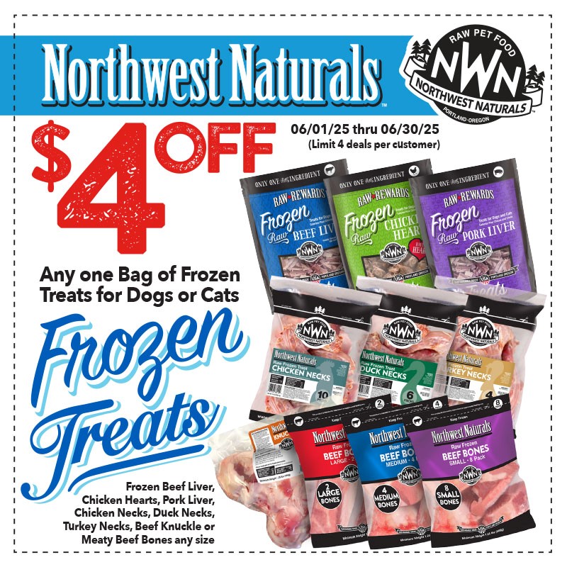 Promotion Image