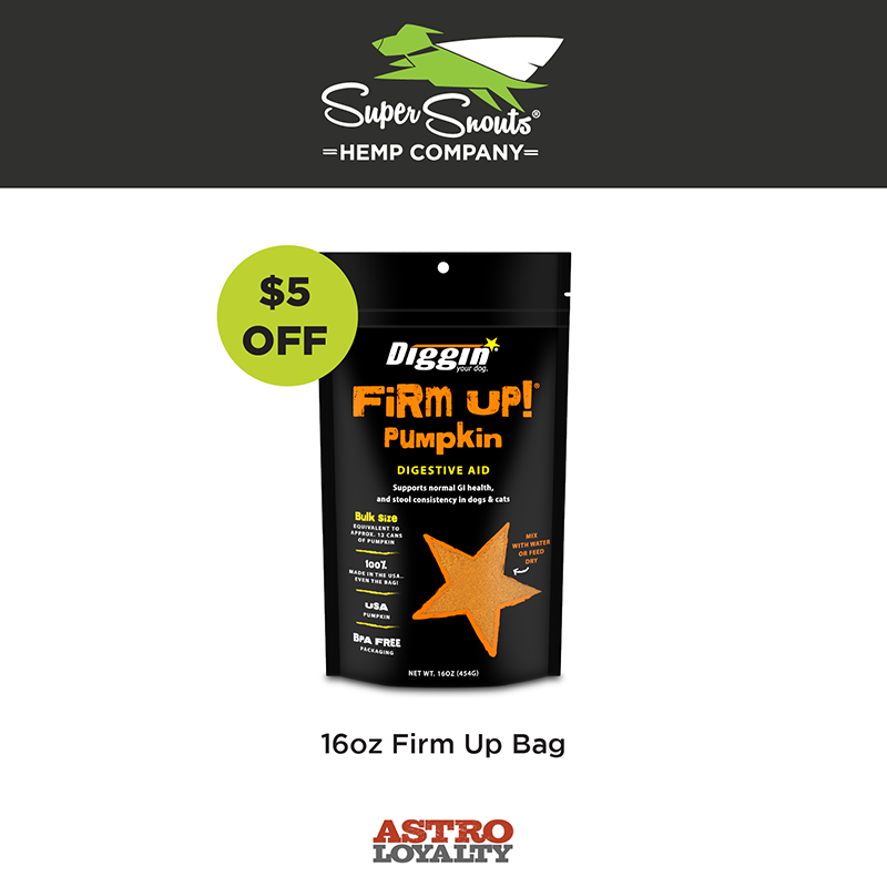 Promotion Image