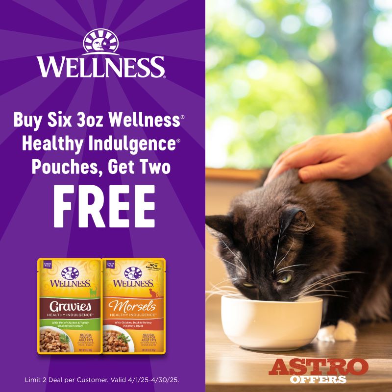 Promotion Image