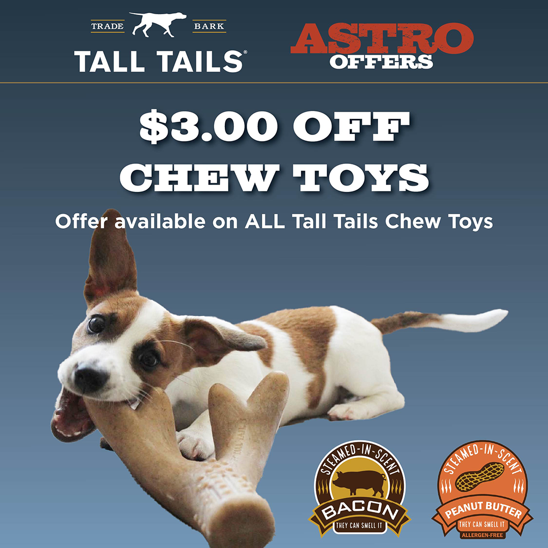 Promotion Image