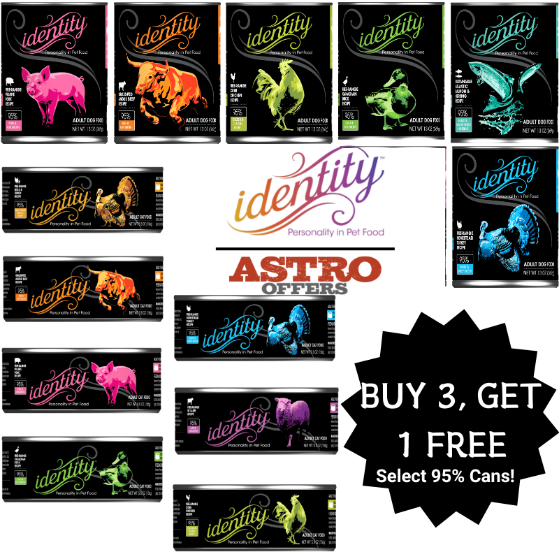 Promotion Image