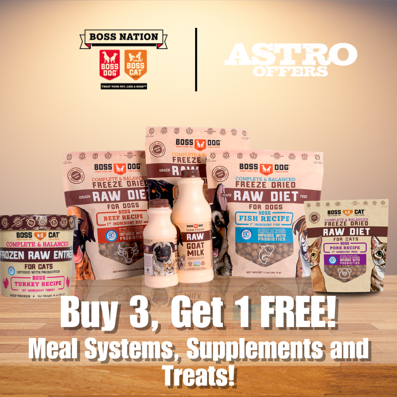 Promotion Image