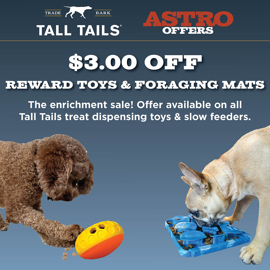 Promotion Image