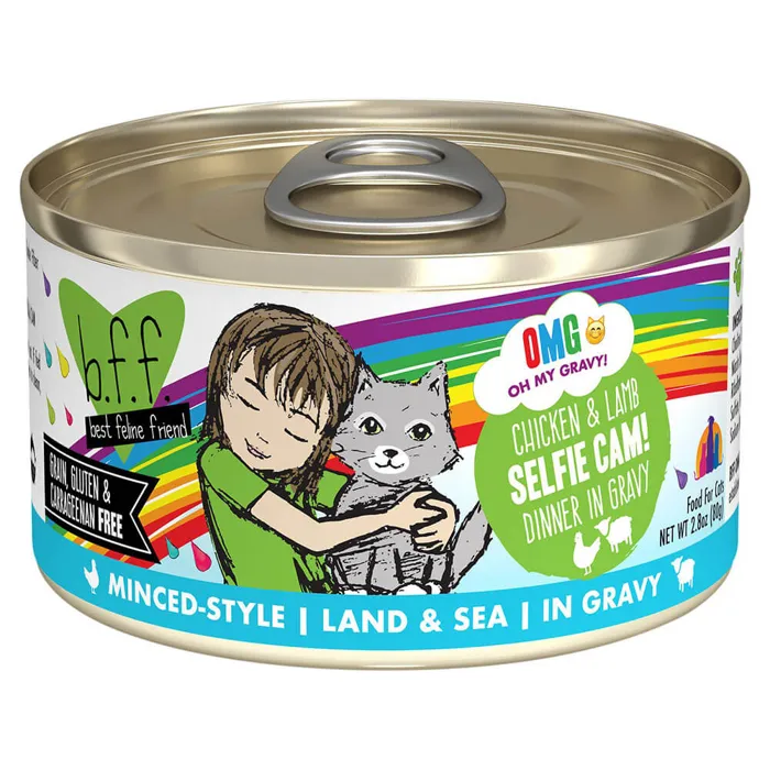 Weruva Cat 2.8oz BFF Selfie Cam Chicken & Lamb