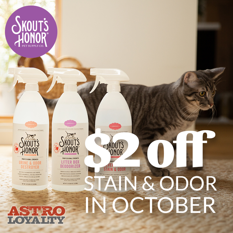 Promotion Image